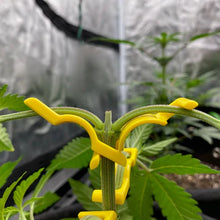 Load image into Gallery viewer, Bud Trainer Bud Clips Universal Low Stress Training Clips