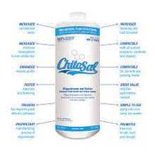 Load image into Gallery viewer, Chito Sal 500ml