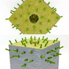 Load image into Gallery viewer, FloraFlex 2" Dart Drippers