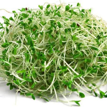 Load image into Gallery viewer, Mumm's Alfalfa 125g