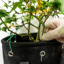 Load image into Gallery viewer, Bud Pots Reinforced Fabric Training Pot - 25Ga