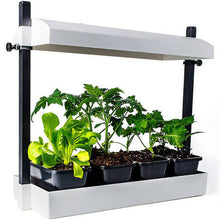Load image into Gallery viewer, Sunblaster Growlight Garden Micro White
