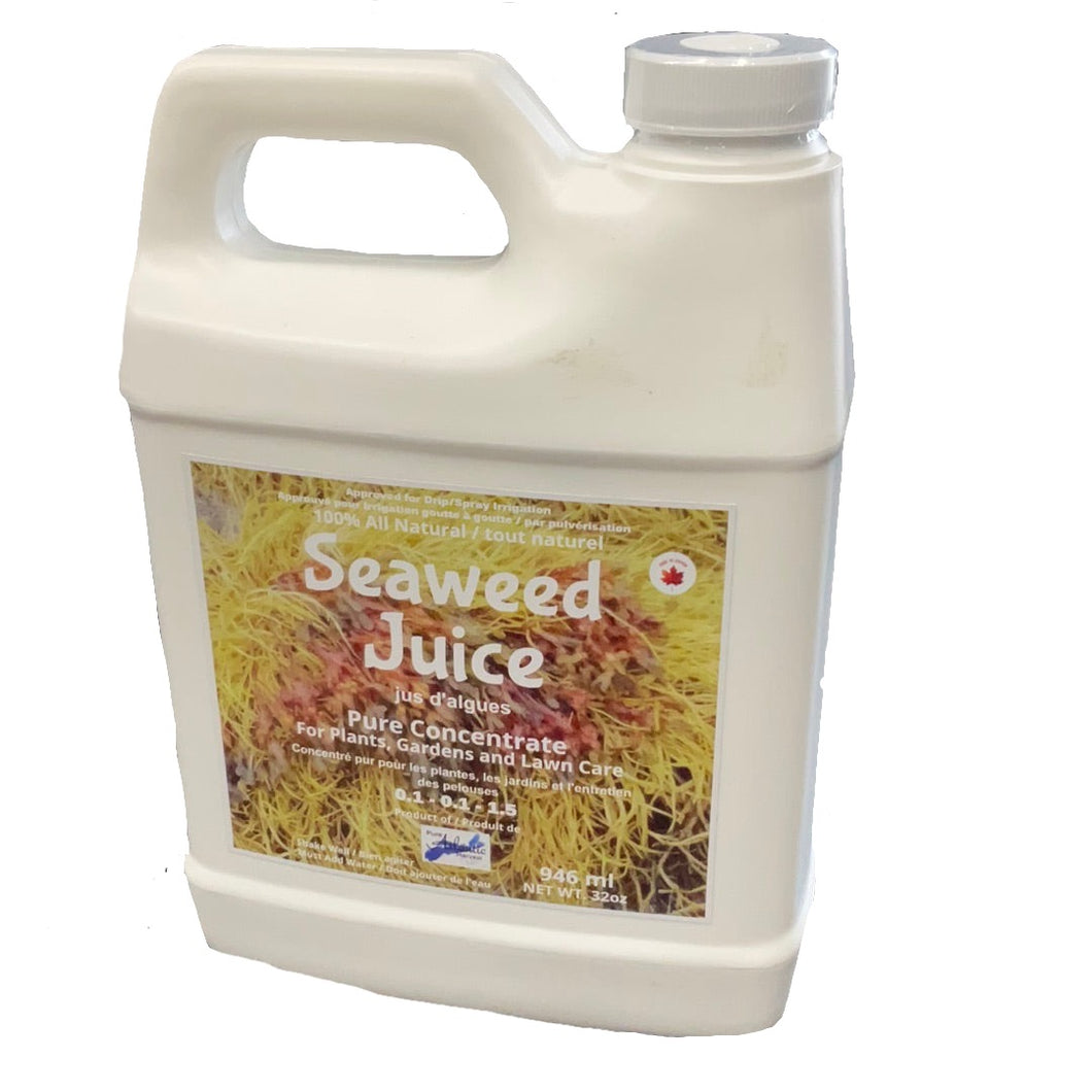 Seaweed Juice 1l
