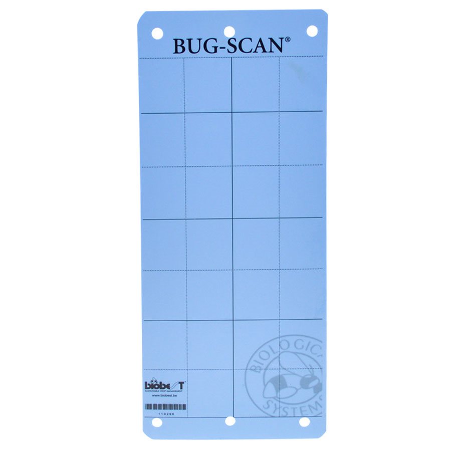 Biobest Bug-Scan Blue