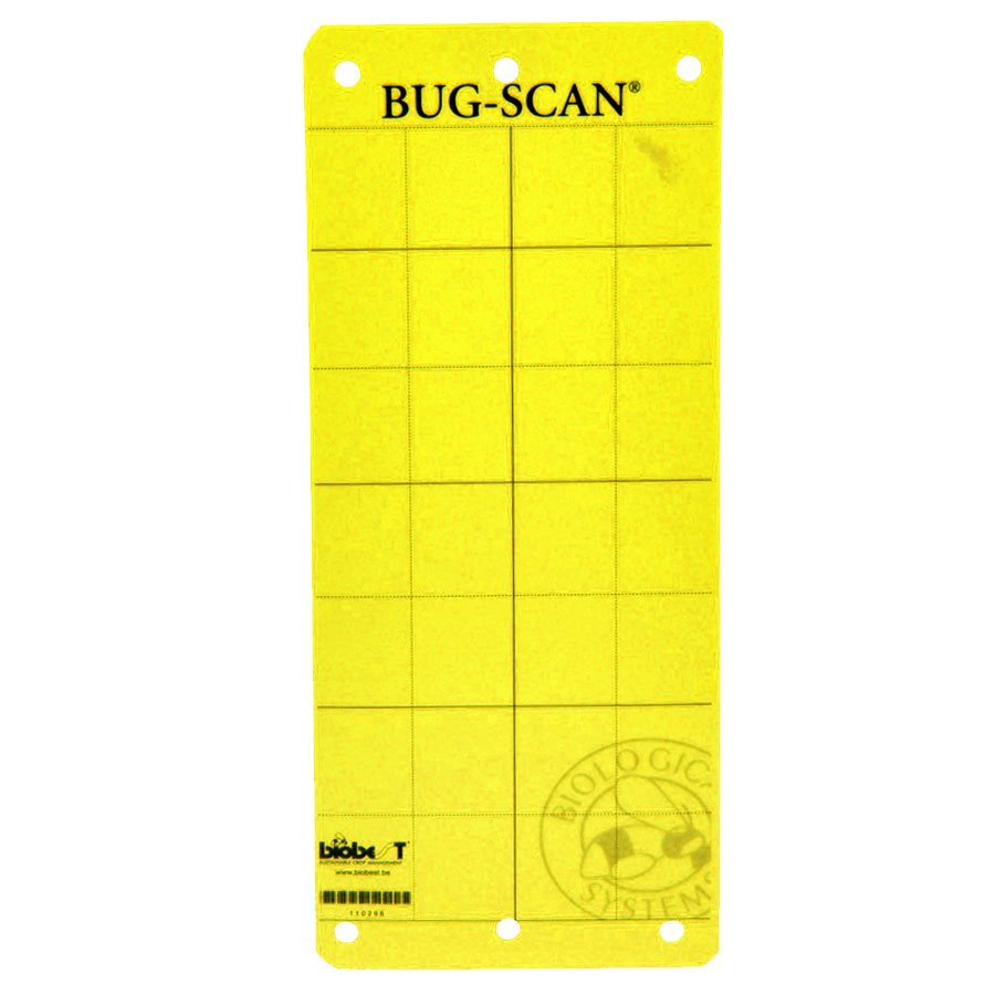 Biobest Bug-Scan Yellow