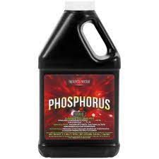 Nature's Nectar Phosphorus 1l