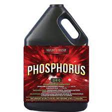 Nature's Nectar Phosphorus 4L
