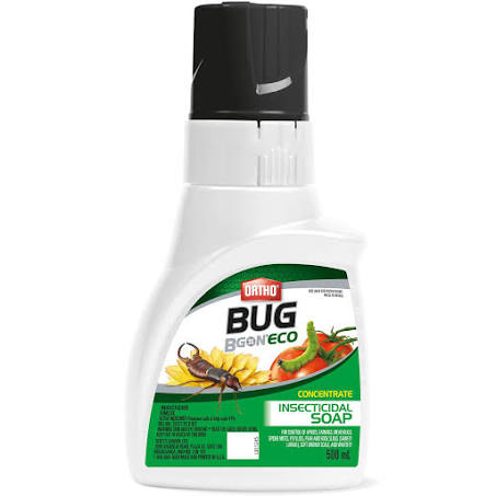 Scotts Bug B Gone Insecticidal Soap Conc. 500ml
