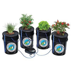 Alfred Deep Water Culture System 4 Plants